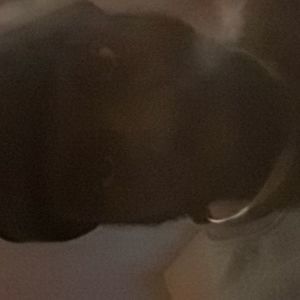 Meet your Posher, Antonio